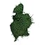 Sheet Moss