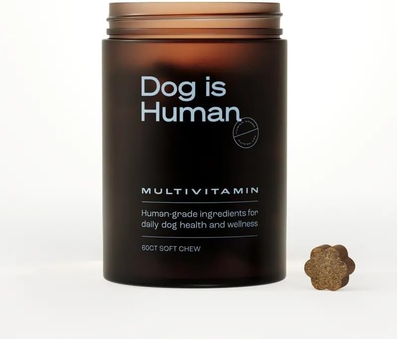 Dog is Human 60Counts 1pcs