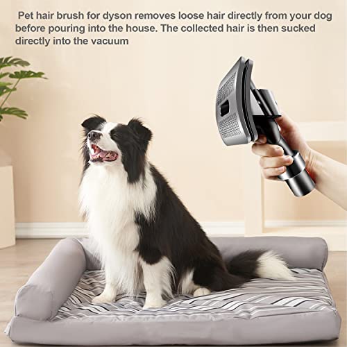 Hundebürste Staubsauger Aufsatz 3 Stück, Hundebürsten Tierhaarbürste für Dyson Pet Grooming Kit Vacuum, Tierhaarbürste für Dyson Aufsatz