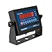 Global Industrial NTEP Pallet Scale, LED Indicator, 4'x4', 10,000 lb x 2 lb