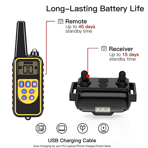 Remote Control and Collar Components