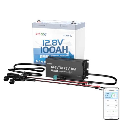 Redodo 12V 100Ah Bluetooth LiFePO4 Lithium Battery with 12V/16V 10A Charger, Group 22NF Ultral-Mini Size Deep Cycle Battery with Low Temp Protection, 100A BMS for RV Camping Trolling Motor Off Grid