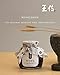 Wangshin Doenjang Aged 3 Years (9oz) - Korean Traditional Premium Soybean Paste. Anchovies and Soy Beans Fermented in Korean Traditional Clay Pots.