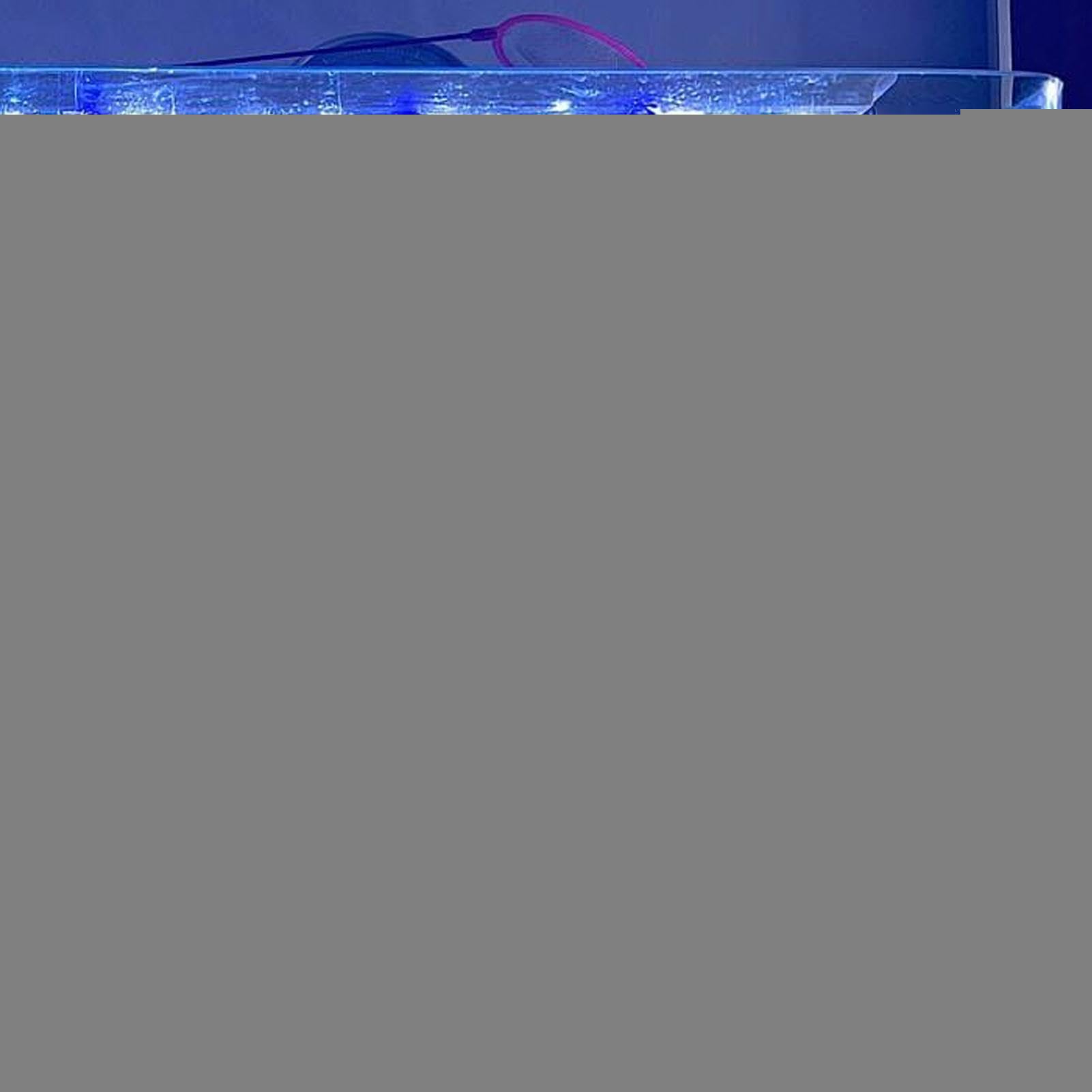Genérico Filtros para Peceras Filtración Clear Wave Maker | Filtros Internos Sumergibles Peceras Agua Dulce Hogar Cría Marino Oficina Camarón