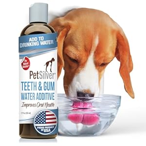PetSilver Teeth Gum Water Additive for Dental Care Dog Breath Freshener Targets Tartar Plaque Eliminates Bad Breath Cat Oral Care Dog Teeth Cleaning No Brushing Tasteless 12 fl oz