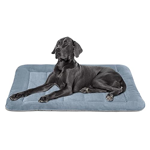 Best Dog Crate Beds, Pads & Mats 2021 Reviews