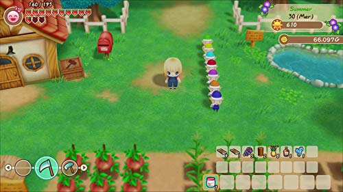 Story of Seasons : Friends of Mineral Town SWITCH Neuf - vue 8
