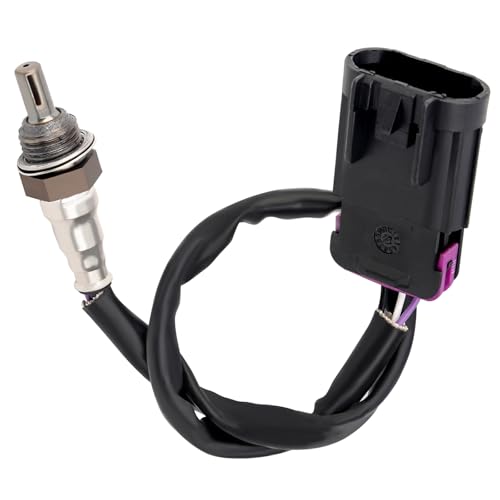 Sensor de oxígeno Road Passion compatible con Indian Roadmaster
