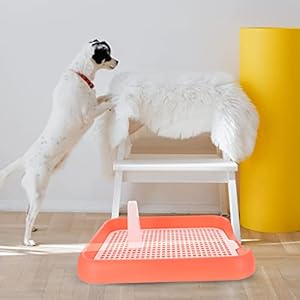 Ipetboom Dog Potty Tray Dog Training Toilet 1 Pc Pee Pads for Dogs Puppy Pee Pad Mesh Training Toilet Pet Toilet Train Potty Dog Litter Box Cucciolini Doodles Ipetboom dog potty tray dog training toilet 1 pc pee pads for dogs puppy pee pad mesh training toilet pet toilet train potty dog litter box cucciolini doodles