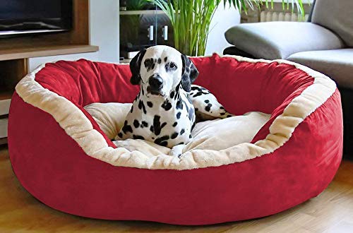 KOZI PET Cozy Polyster Filled Soft Dual Color Dog/Cat Bed (Red) - for Small Dog (B07R2B4YPR) Amazon Price History, Amazon Price Tracker