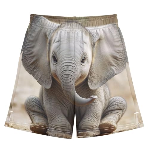 YYZZH Cute Elephant Baby Sit Woodland Boy Casual Shorts Athletic Shorts Pants with Pockets Multi