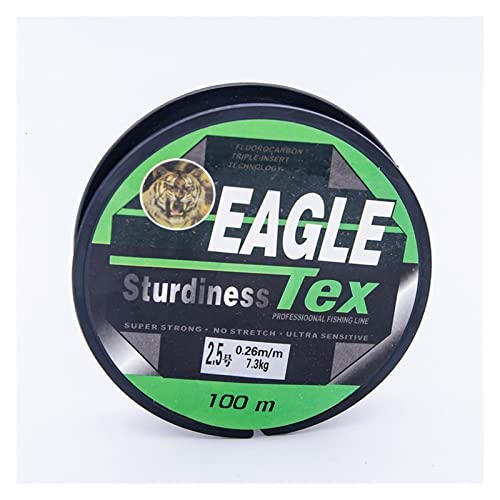 Delawen Nylon-Angelschnur, 100 m, geringe Dehnung, Angelschnur, Angelschnur, Angelzubehör, Angelzubehör, für…