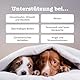 Zesty Paws Beruhigende Chews für Hunde Entspannungs- & Anti-Stress-Mittel für Hunde | Ashwagandha, Grüner Tee und L-Tryptophan | Für alle Rassen mit Putengeschmack |90 STK
