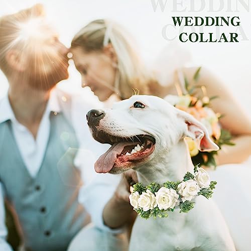 Collier de fleurs pour chien Honoson couronne confortable taille L