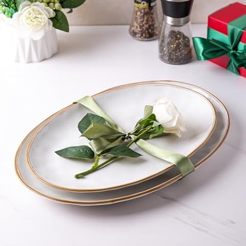 AmorArc Ceramic Serving Plates Set Cover