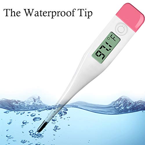 Top 10 Best digital rectal thermometer DecisionDesk