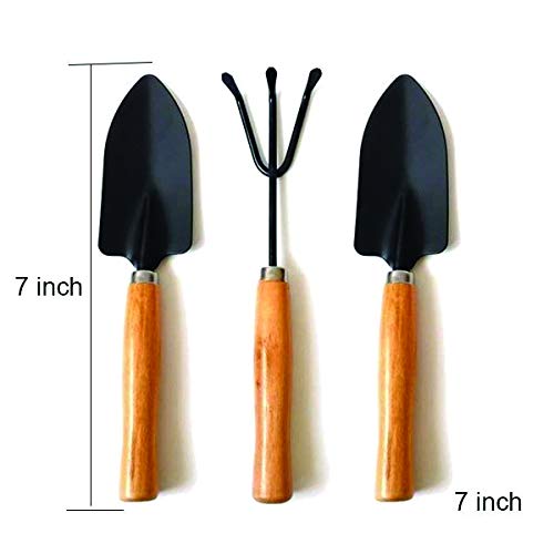 DeoDap Gardening Tools kit for Home Gardening Set | Hand Cultivator | Small Trowel | Garden Fork | with Gardening Reusable Gloves | Gardening Set with Smooth Finish Wooden Handles | Set of 4pcs |