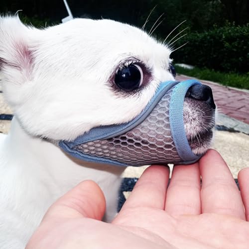 peA^p\tgbV}YA`V[Y[[L[|AiAރO[~OpV[g@K[hAʋC߉\Ȏq̏e(T}[u[AS)