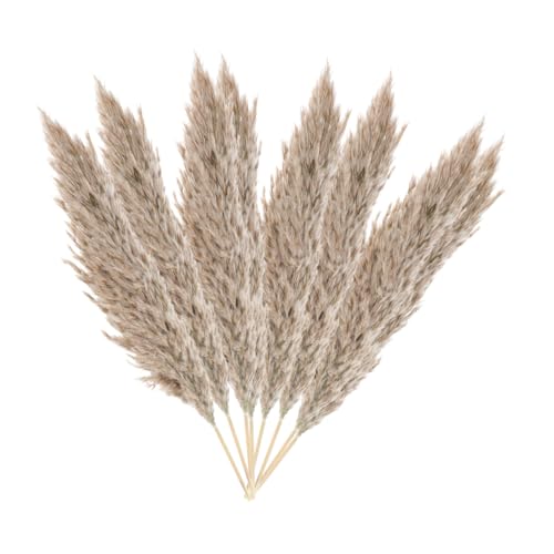 Ramo de cañas secas natural 15 piezas para decoración miniatura 1