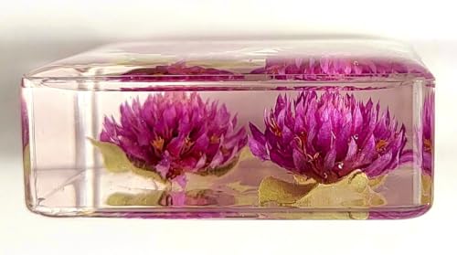 Image of 38mm Real Purple Globe Amaranth Flower in Crystal Clear Lucite Resin Specimen Dried Pressed Botanist Herb Herbarium Crafts Collection for Botany Science Education & Desk Ornament Display Supplies