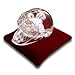 Resonant Energies 5.5 Inch Square Red Velvet Crystal Display Pillow - 'Bean Bag' Support for Crystal Skulls, Spheres, Points, Clusters and More, CPV4L