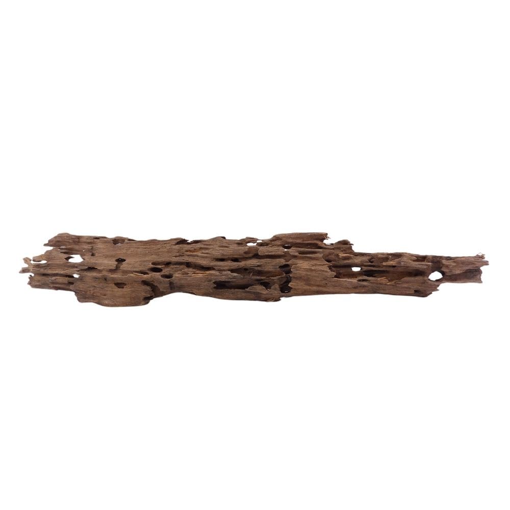 Raíz de acuario XL Honey Comb Nº 1966 - Raíz de manglar, decoración de acuarios, paisaje, espuma natural, de madera auténtica