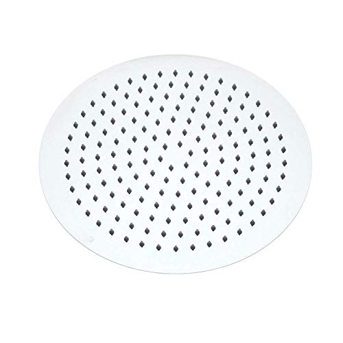 The 8 Best Ceiling Mount Shower Heads (Buyer's Guide)