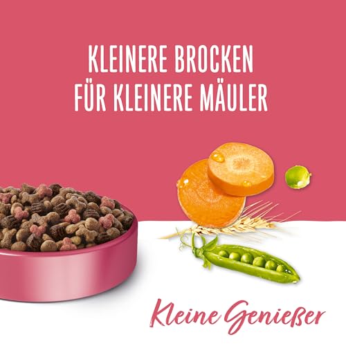 Beneful Kleine Genießer Hundefutter trocken für kleine Rassen, mit Rind, 4er Pack (4 x 2,8kg)