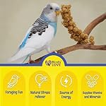 Birds LOVE Millet Tips & Tails for Birds - Parakeets, Cockatiels, Lovebirds, Finches, Budgies, Canaries, Cockatoos - Natural & Healthy Millet for Birds - Parakeet Food & Treats for All Parrots, 1lb - Image 4