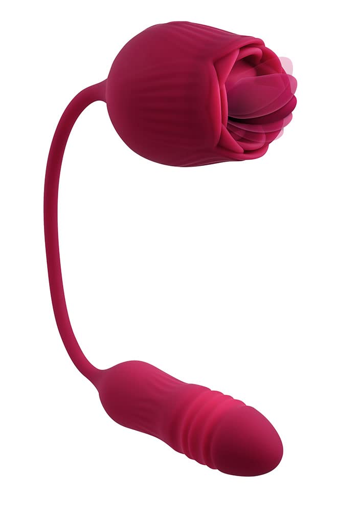 Amazon.com: Evolved Love is Back - Wild Rose - 10 Speed Vibrating Flicking  Silicone Rechargeable Tongue Vibrator - Red : Health & Household