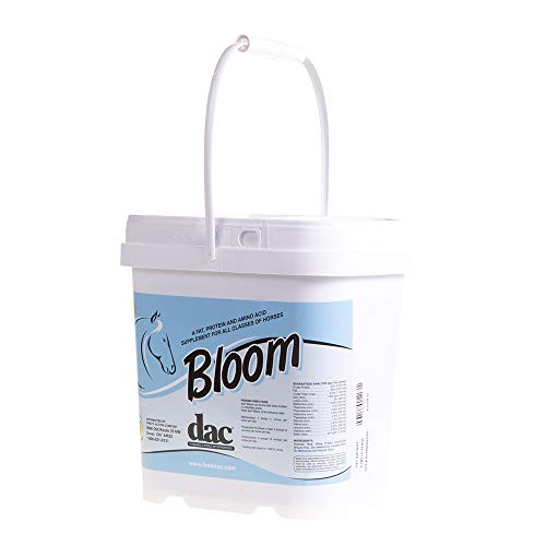 DAC Bloom