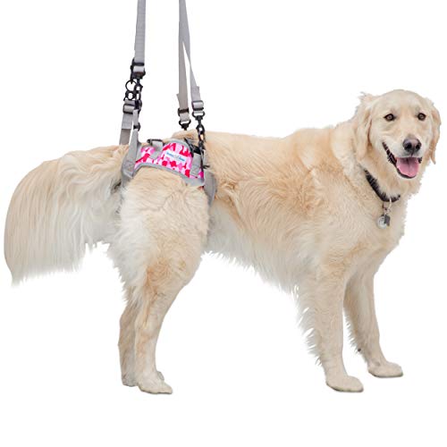 Warrior Rear Dog Harness for Mobility | Adjustable Handles | Helps Dogs with Arthritis, Senior Dogs and Pets Recovering from Surgery