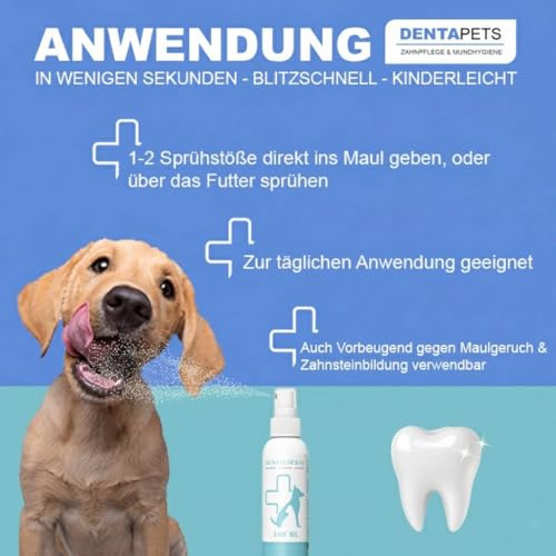 Dentalspray für Hunde & Katzen – Effektiv gegen Zahnbelag & Zahnstein – 100% natürlich & erfrischend - Hilft bei Mundgeruch – Zahnpflege & Reinigung ganz ohne Bürste für strahlend weiße Zähne