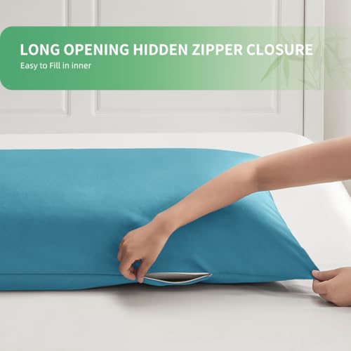 View 5