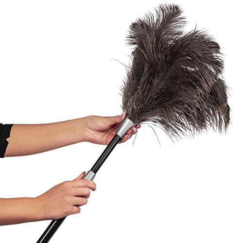 Heim & Büro Staubmedel struisveer, met telescoopsteel, handstofzuiger, stofwisser, afstoffen - Image 4