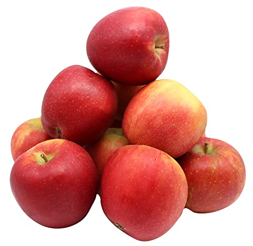Bleichhof Äpfel Mariered - süß-herbe knackige Sorte aus der Pfalz (5kg) Cover
