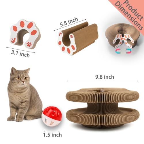 Magic Organ Cat Scratcher Board with Ball – Interactive Kitty Toy for Mental & Physical Exercise