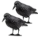 Produktbild Tymar Rabe, Taubenschreck für Balkon, Taubenabwehr, Raben attrappe, Vogelabwehr aus Kunststoff (Rabe;2 Stück)