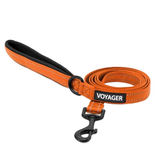 Image of Best Pet Supplies Voyager Reflective Dog Leash or Collar with Neoprene Handle, for Small, Medium, and Large Breed Puppies, Cute and Heavy Duty for Walking, Running and Training - Orange (Leash), L