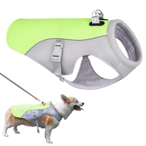 ̕Appn[lXA3w\̌ppxXgApR[g ʋC MǑ΍AG߂̃ybǧ̃nCLOA^Ag[jOAUAoRp̕