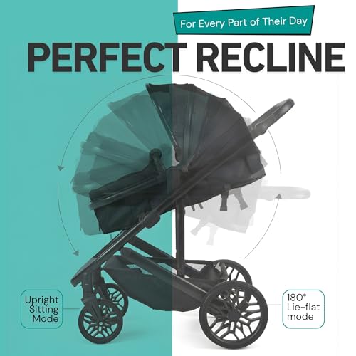 Lejoux™ Avant Baby-Kinderwagen-Reisesystem – Größerer, faltbarer Kinderwagen mit Babywanne, 5-Punkt-Gurt, verstellbarem Sitz, übergroßem Korb und Einhand-Faltung – Schwenkräder und Regenschutz (Black)