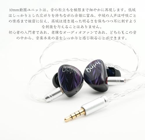 ivipQ HIFI有線インイヤーヘッドホンは、1DD 10mmドライバー、3.5mmステレオプラグ IEM、着脱式ケーブル、耳かけ式デザインを採用したモニターヘッドホンです 中華イヤホン(マイクなし)