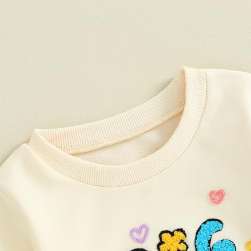 Baby Girl Sister Matching Outfit Letter Embroidery Long Sleeve Sweatshirt Romper Toddler Cute Fall Clothes3