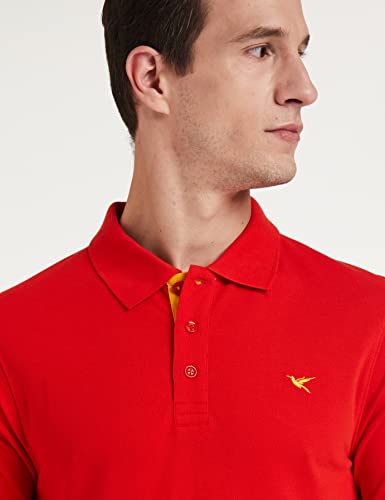 Image of Deniklo Men's Cotton Rich Half Sleeve Regular Fit Solid Polo T-Shirt (Available in Plus Size)