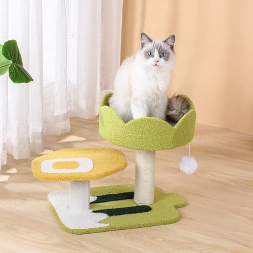 Figoday Lbg^[ R [v  ܂Ƃ o V L   L ^  v  i ybg pi ȃXy[X LbgNCO|[ (45*31*38cm)