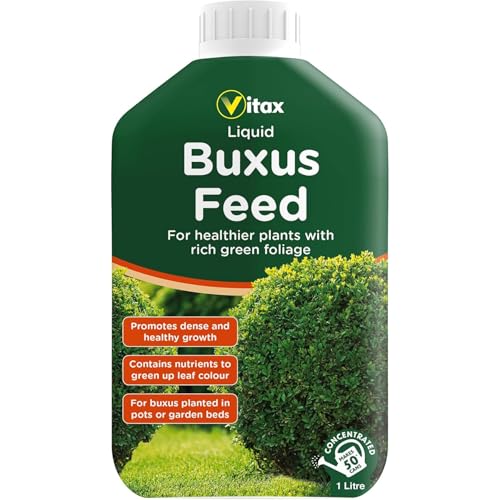 Vitax Buxus Feed Liquid 1L | Specialist Plant Food for Boxwood & Ilex Crenata | High Nitrogen & Magnesium for Glossy Dark Green Foliage | Fast Acting Disease Resistance Booster | Makes 50 Watering Can
