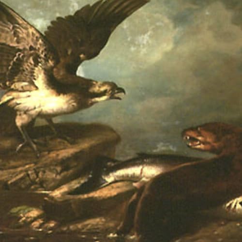 S8 Ep149: 8/8. Conservation Battles: From the Extinction of the Ivory Bill to the Political Fight over Wolves — Dan Flores — The twentieth century witnessed simultaneous conservation efforts and continuing ecological tragedy, notably the probable extinction of the