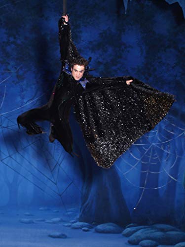  Ice Dance: Sleeping Beauty 2013 - Vasilii Andreev