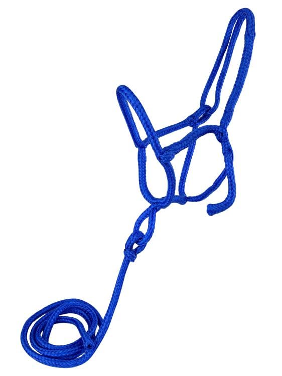 Nylon Rope Shipping Halter w/Lead (Blue)