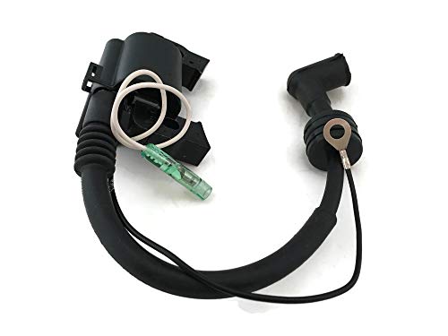 Bobine d'allumage CDI pour moteur hors-bord Parsun F6HP F6C F6A 4 temps pièce bateau F6-04000400